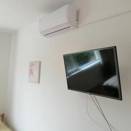 Apartment Branka *