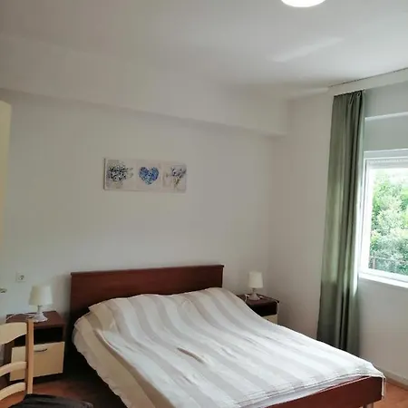 Apartment Branka *