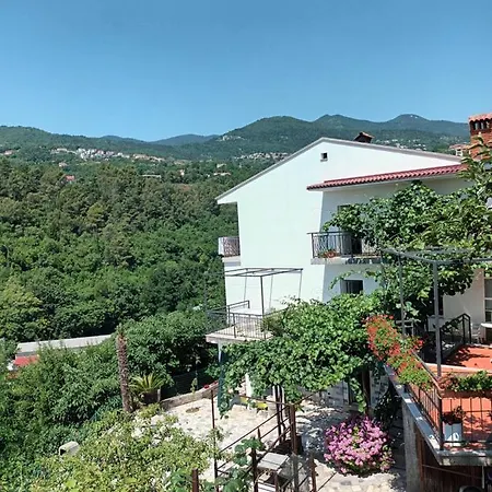 Apartment Branka