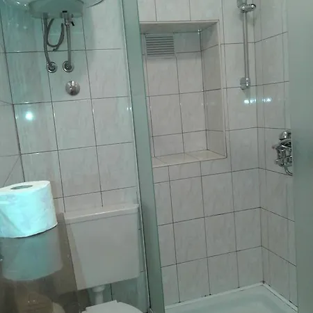 Apartment Branka *