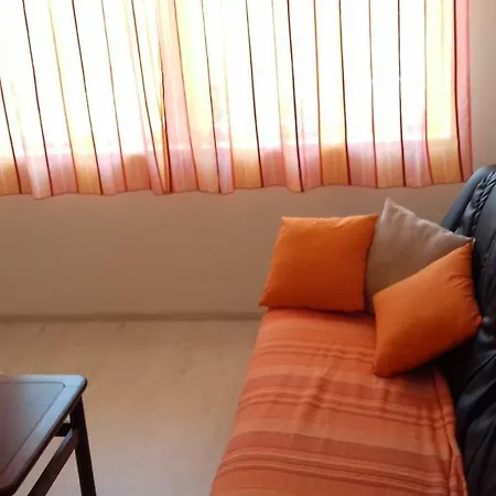 Apartment Branka